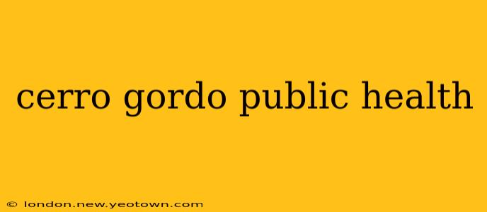 cerro gordo public health