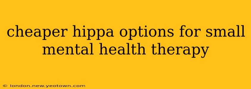 cheaper hippa options for small mental health therapy