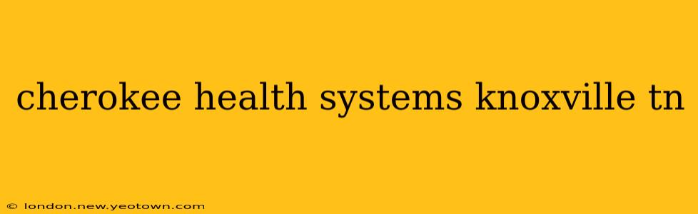 cherokee health systems knoxville tn