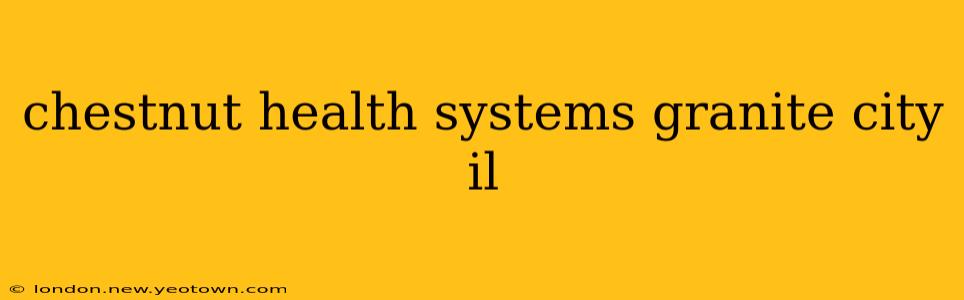 chestnut health systems granite city il