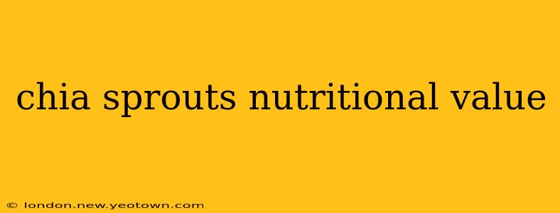 chia sprouts nutritional value
