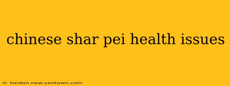 chinese shar pei health issues