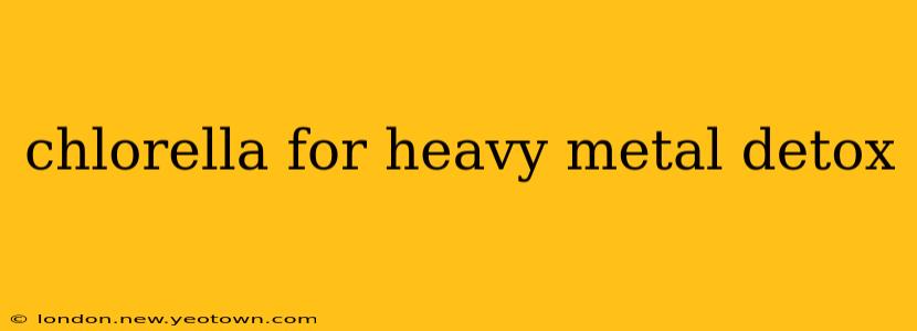 chlorella for heavy metal detox