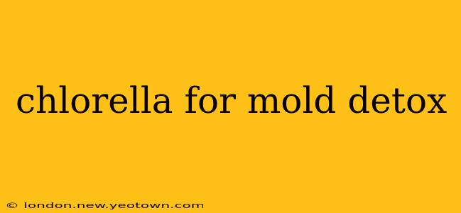 chlorella for mold detox
