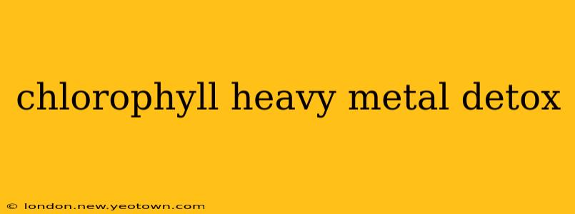 chlorophyll heavy metal detox