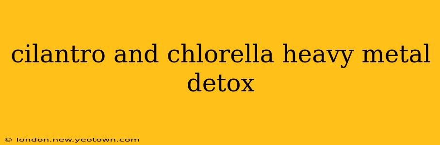 cilantro and chlorella heavy metal detox