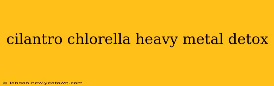 cilantro chlorella heavy metal detox