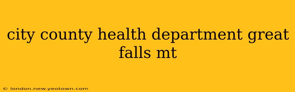 city county health department great falls mt