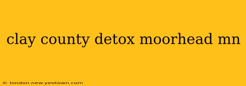 clay county detox moorhead mn