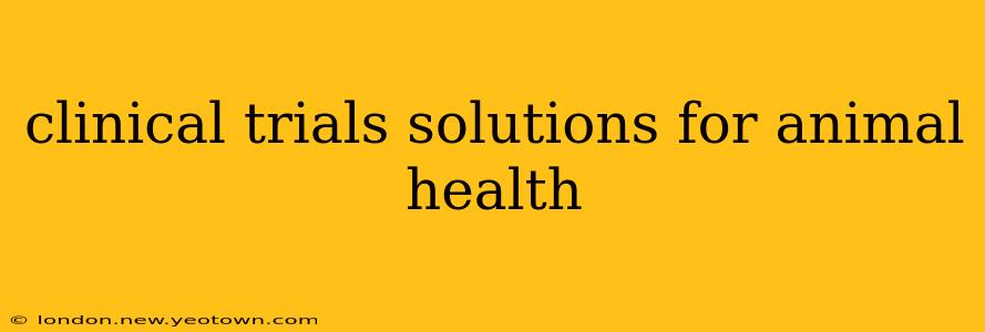clinical trials solutions for animal health