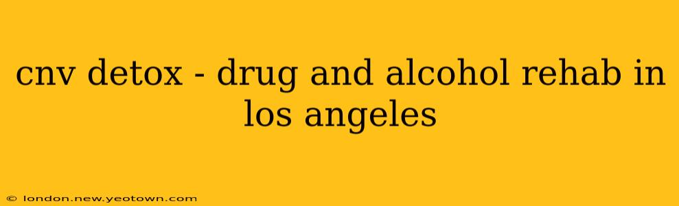 cnv detox - drug and alcohol rehab in los angeles