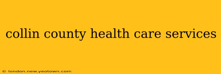 collin county health care services