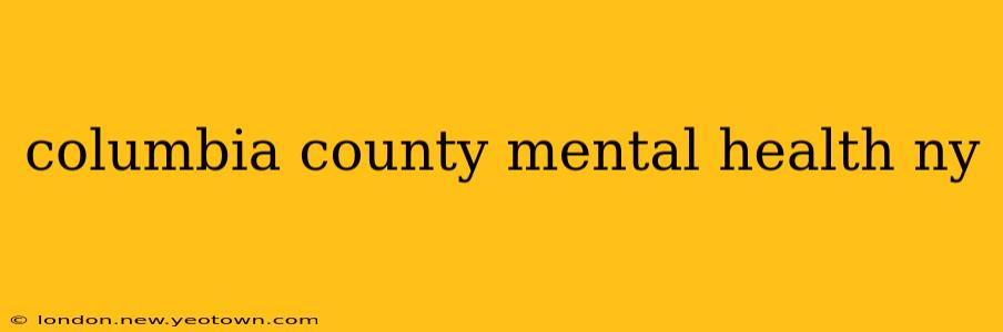 columbia county mental health ny