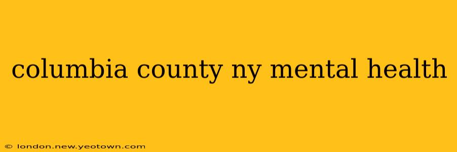 columbia county ny mental health