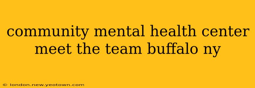 community mental health center meet the team buffalo ny