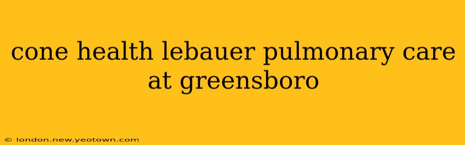 cone health lebauer pulmonary care at greensboro