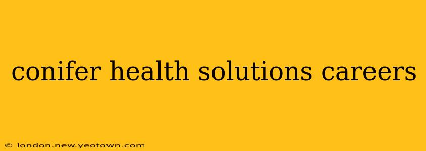 conifer health solutions careers