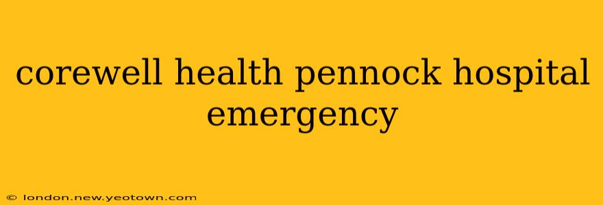 corewell health pennock hospital emergency