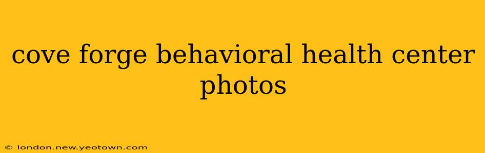 cove forge behavioral health center photos