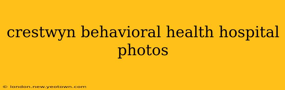 crestwyn behavioral health hospital photos