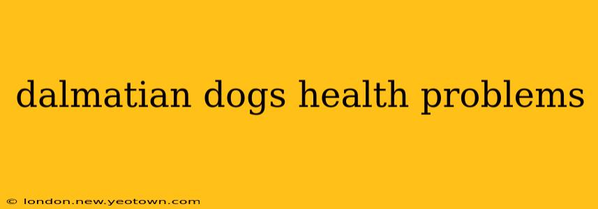 dalmatian dogs health problems