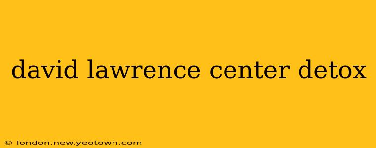 david lawrence center detox