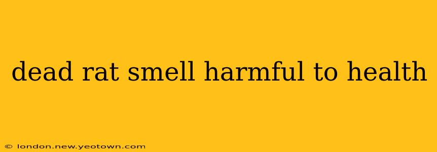 dead rat smell harmful to health