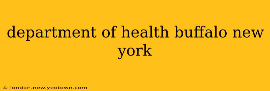 department of health buffalo new york