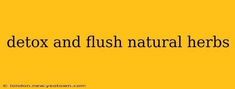 detox and flush natural herbs