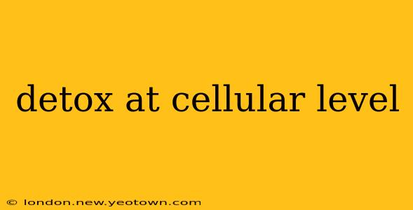 detox at cellular level
