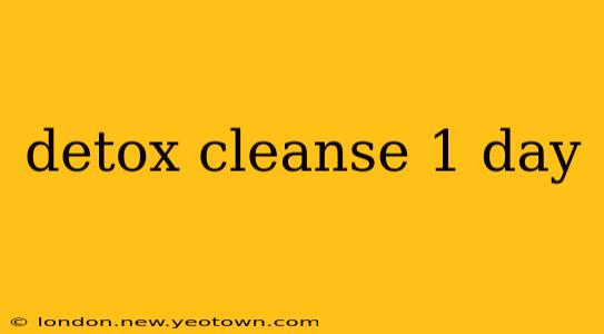 detox cleanse 1 day