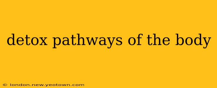 detox pathways of the body