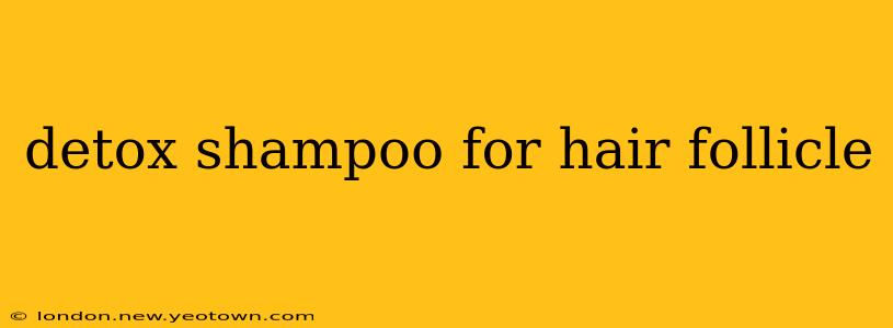 detox shampoo for hair follicle