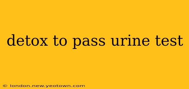detox to pass urine test