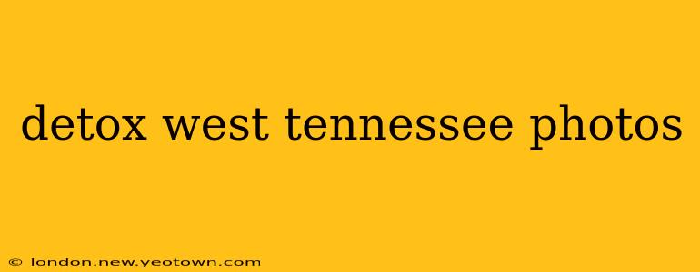 detox west tennessee photos
