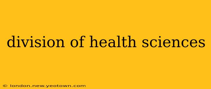 division of health sciences