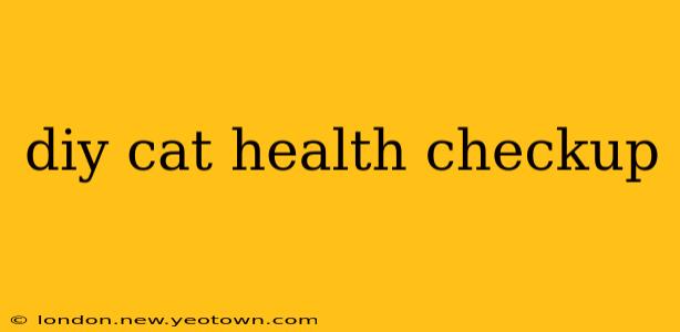 diy cat health checkup