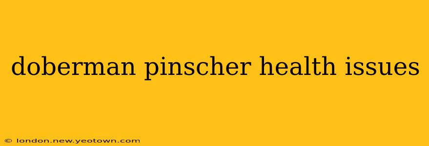 doberman pinscher health issues