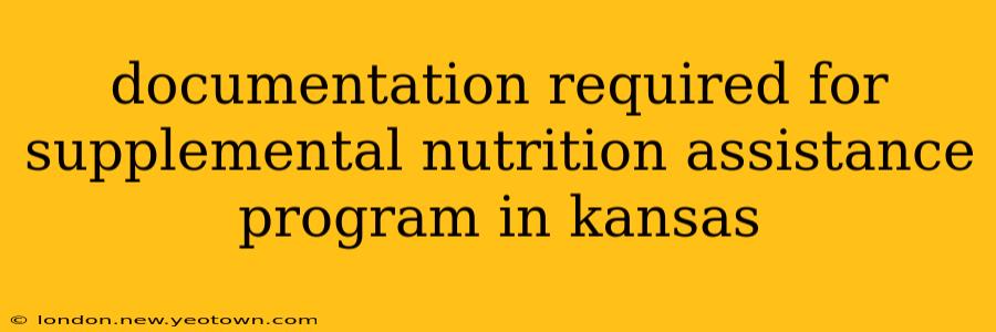 documentation required for supplemental nutrition assistance program in kansas