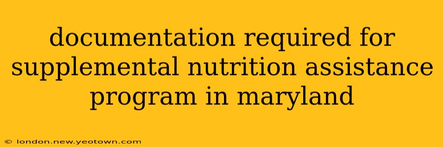 documentation required for supplemental nutrition assistance program in maryland