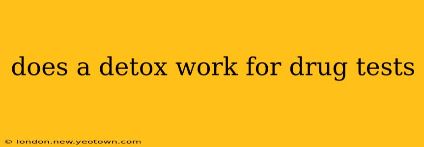 does a detox work for drug tests