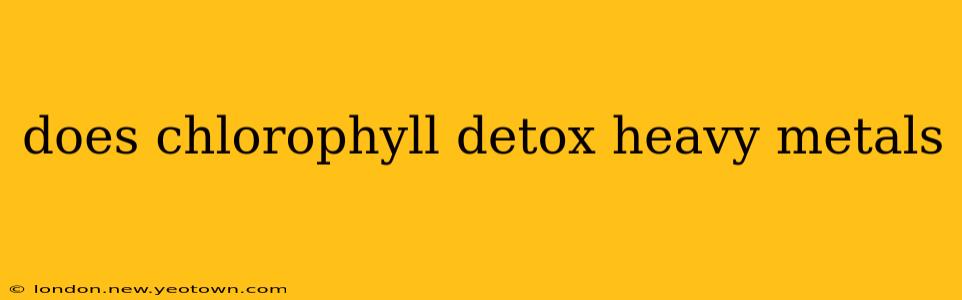 does chlorophyll detox heavy metals