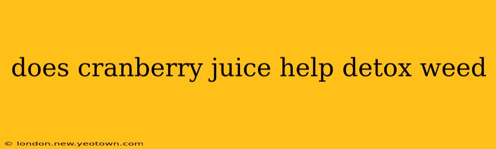 does cranberry juice help detox weed