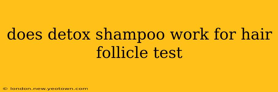 does detox shampoo work for hair follicle test