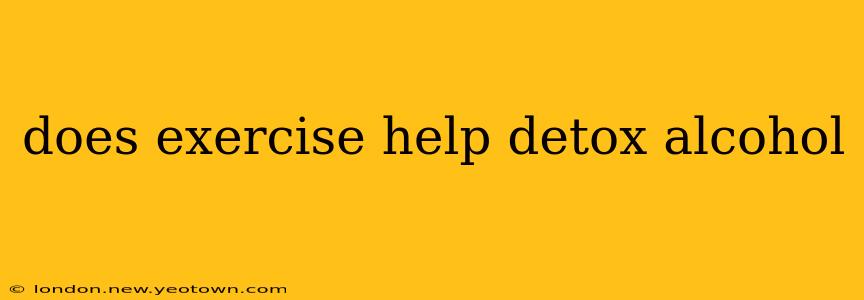 does exercise help detox alcohol