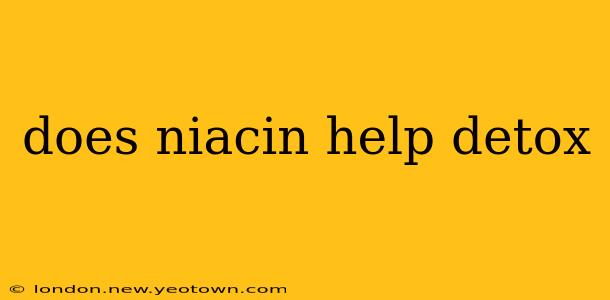 does niacin help detox