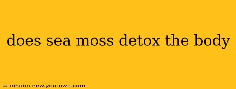 does sea moss detox the body