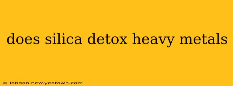 does silica detox heavy metals