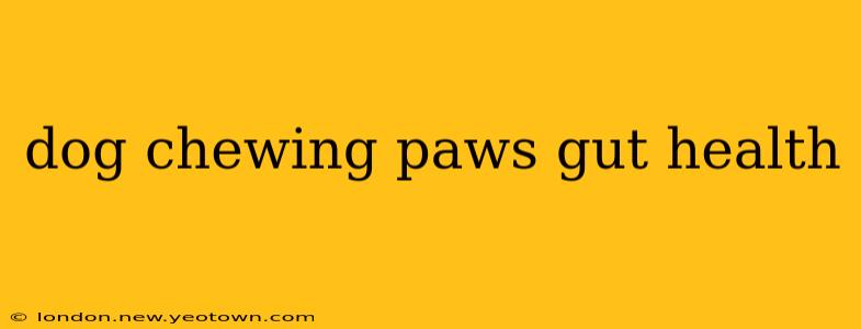 dog chewing paws gut health