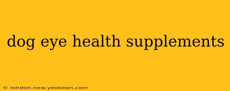 dog eye health supplements